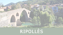 Ripollès